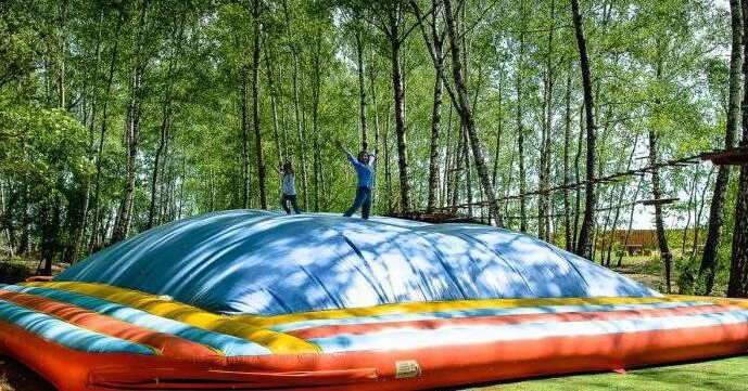 Парк дикие белки в чеховском районе. Парк дикие белки в чеховском районе. Белка парк чеховский. Парк белка в чеховском районе. Дикие белки парк в чехове.