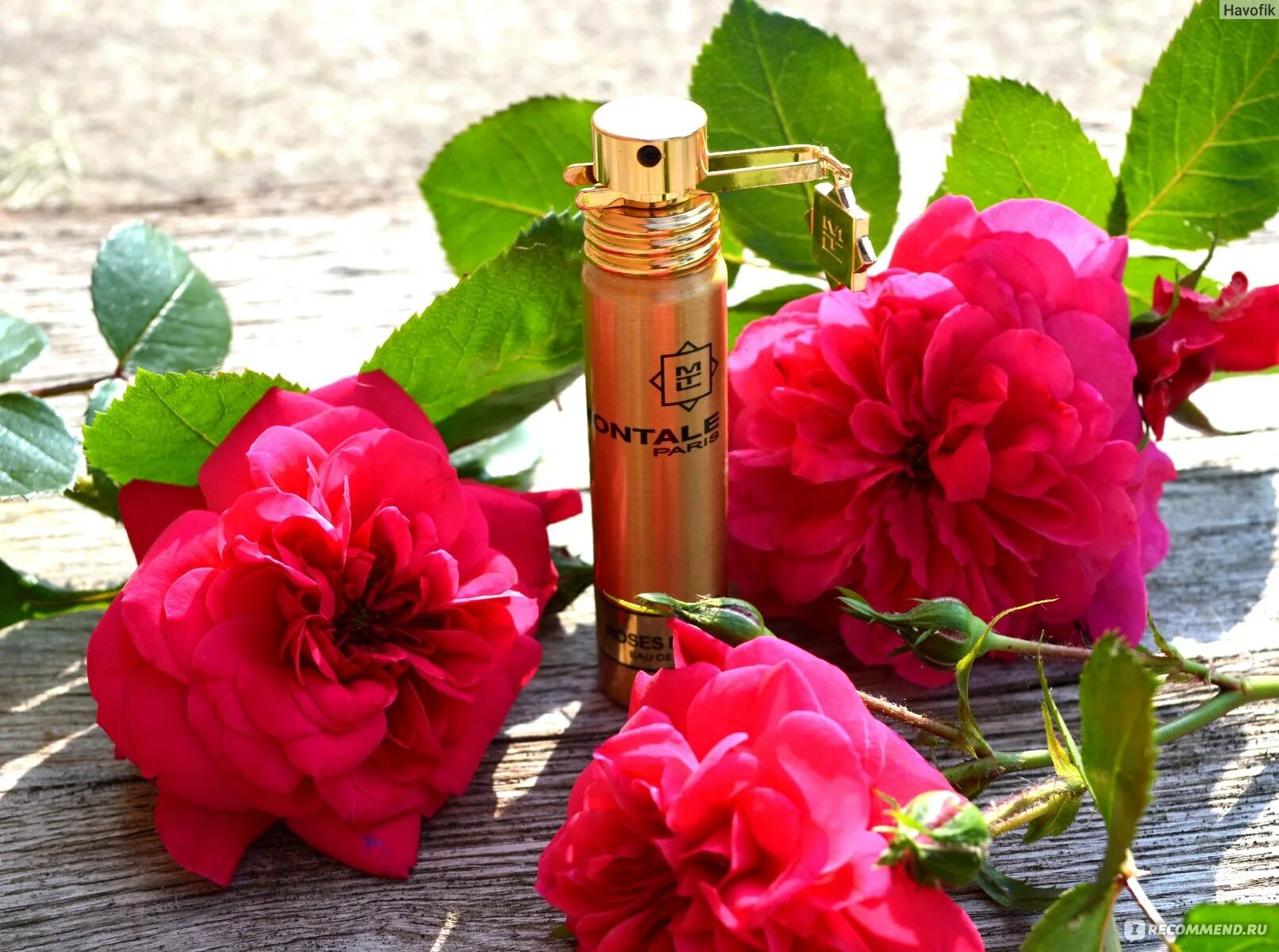 Духи montale roses. Гель для душа ok Beauty Essentials конопля и мускус отзывы.