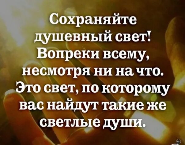 Не смотря ни на что цитата. Душевный свет цитаты. Жить несмотря ни на что цитаты. Душевный свет цитаты. Сохраняйте душевный свет.
