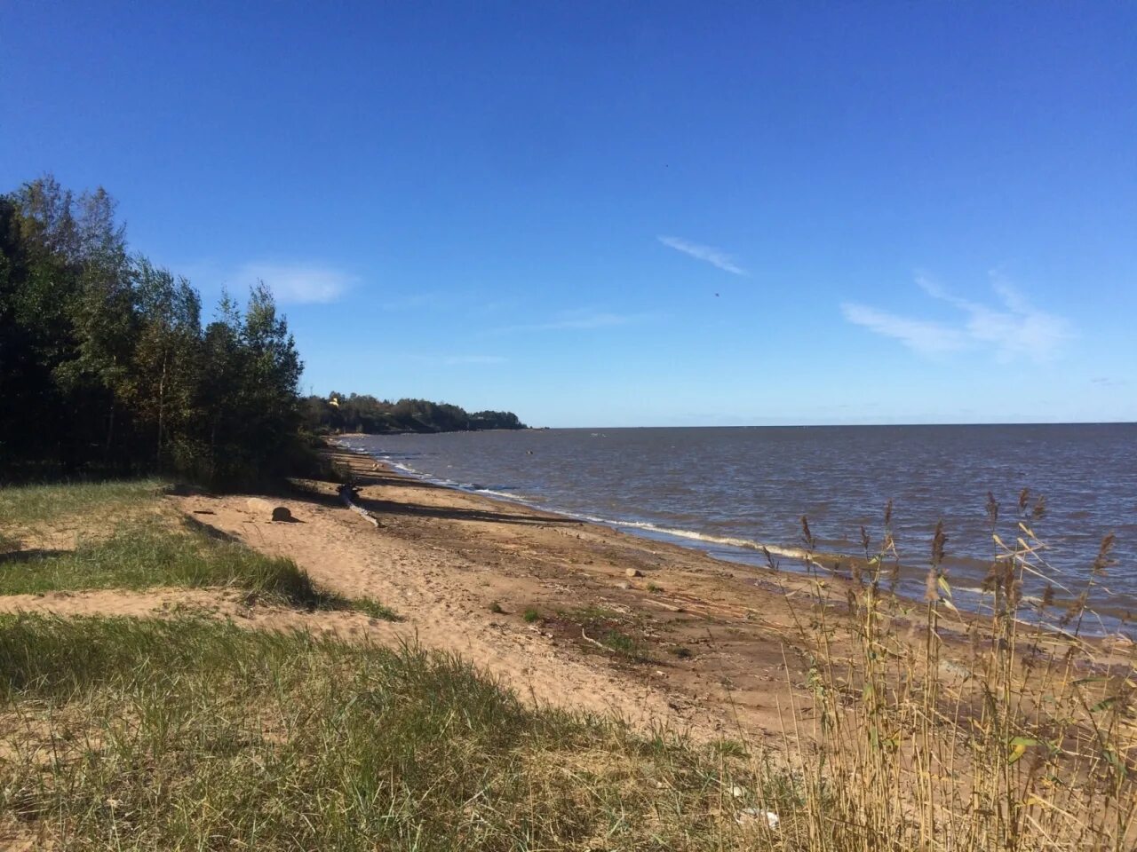 поселок лебяжье ленинградской области. пгт лебяжье ленинградская. лебяжье. поселок лебяжье ломоносовского района. поселок лебяжье ломоносовского района ленинградская область.