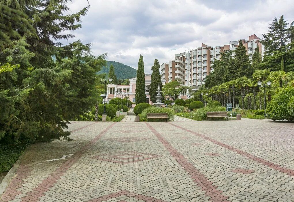 Ива алушта. Крым алушта санаторий алуштинский. санаторий &quot;алуштинский&quot; г. алушта. пансионат алуштинский. санаторий уголок алуштинский г. алушта.