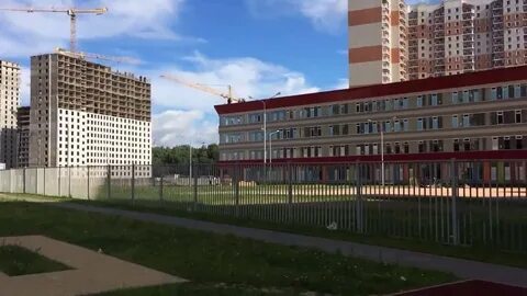 Компании путилково