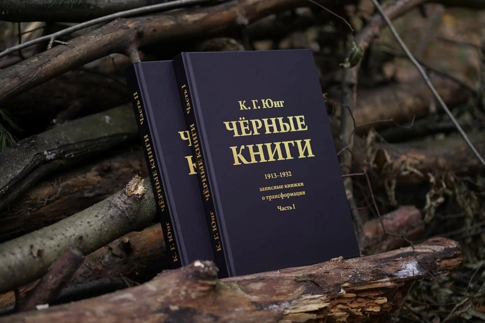 Книги юнга купить. Черная книга. Юнг книги. Черные книги Юнга.