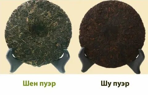 Чем отличается пуэр от шу пуэр