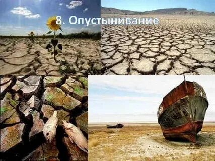 Виды загрязнений арктическое опустынивание европа таблица