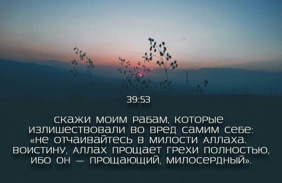 Не отчаивайтесь в милости. Не отчаиваться в милости Аллаха. Аяты о милости.