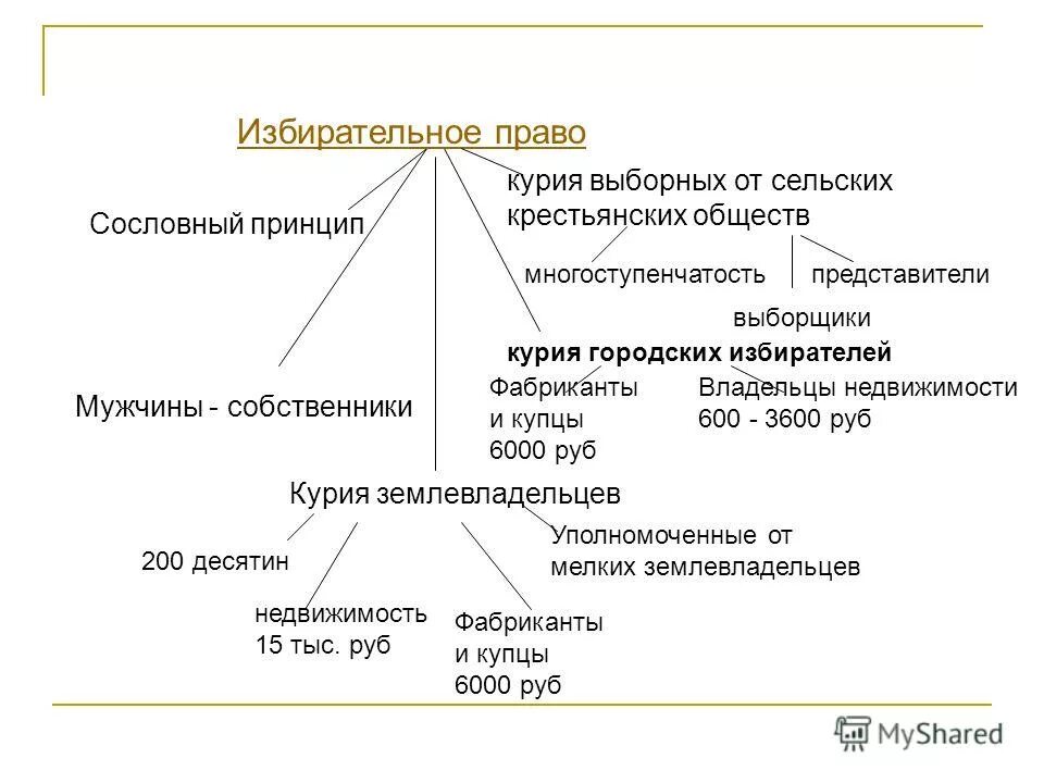 Избирательная курия