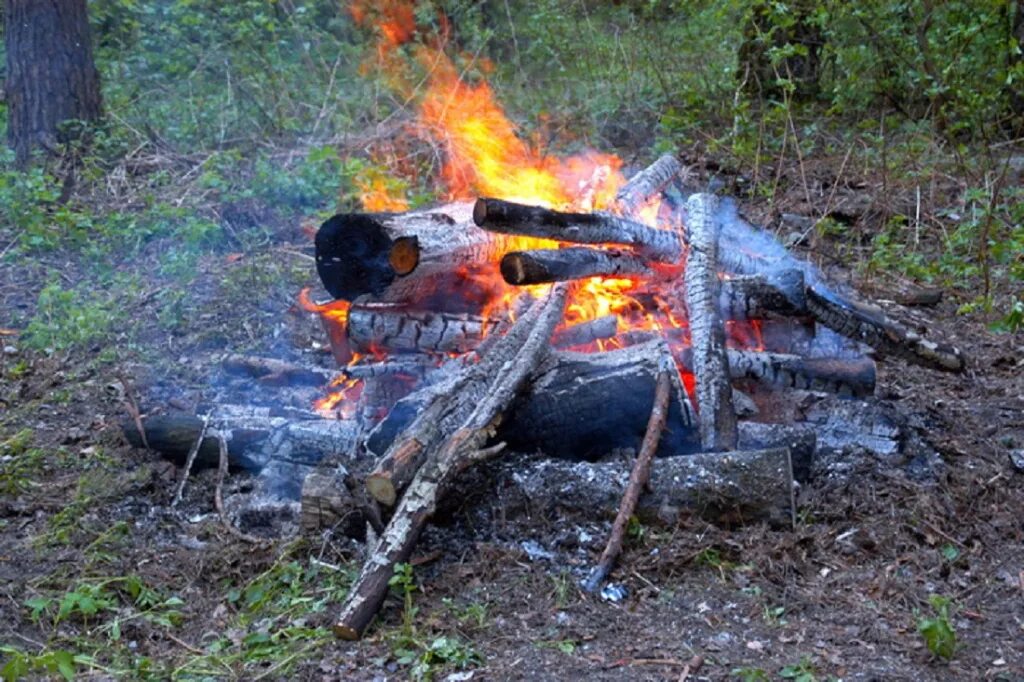 Пожар в лесу. Шашлык пожар. Шашлык на костре. Шашлыки в лесу пожар. Сгоревший шашлык