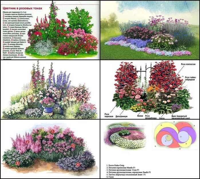 Клумба из многолетников для начинающих непрерывного цветения. Цветник многолетников непрерывного цветения. Цветник розарий розарий цветник. Схема миксбордера непрерывного цветения. Проект миксбордера из многолетников.