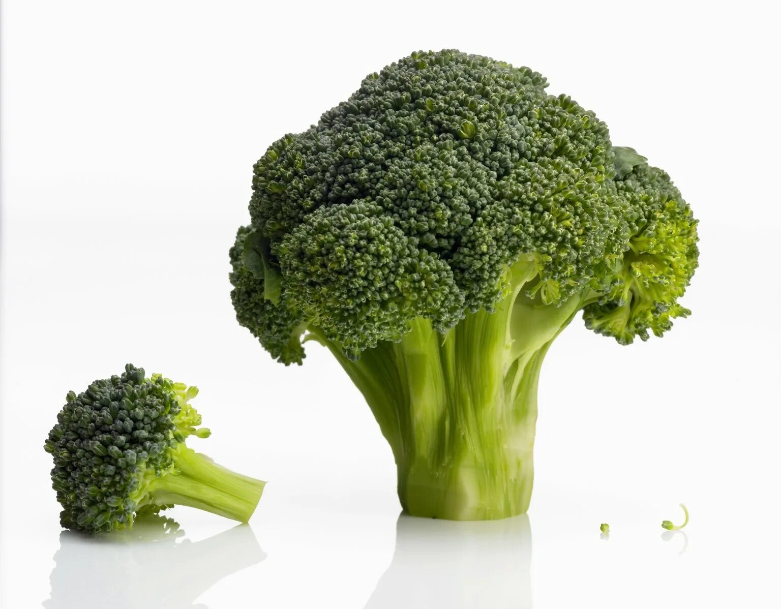 Cosmic broccoli