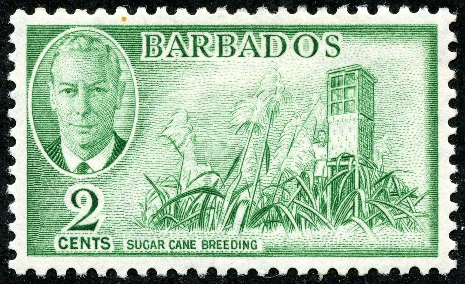 Барбадос марка. Барбадос марка Почтовая. Stamps Барбадос 1938. Марка страны Барбадос. Дам гватемалу и два барбадоса