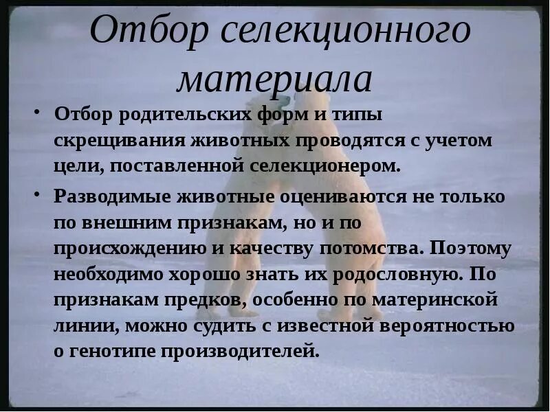 Подбор родительских форм анализ родословных исходных форм