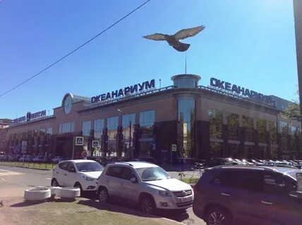 Планета нептун ул марата 86 фото