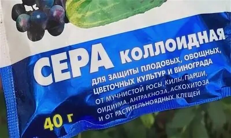 Кислота под голубику