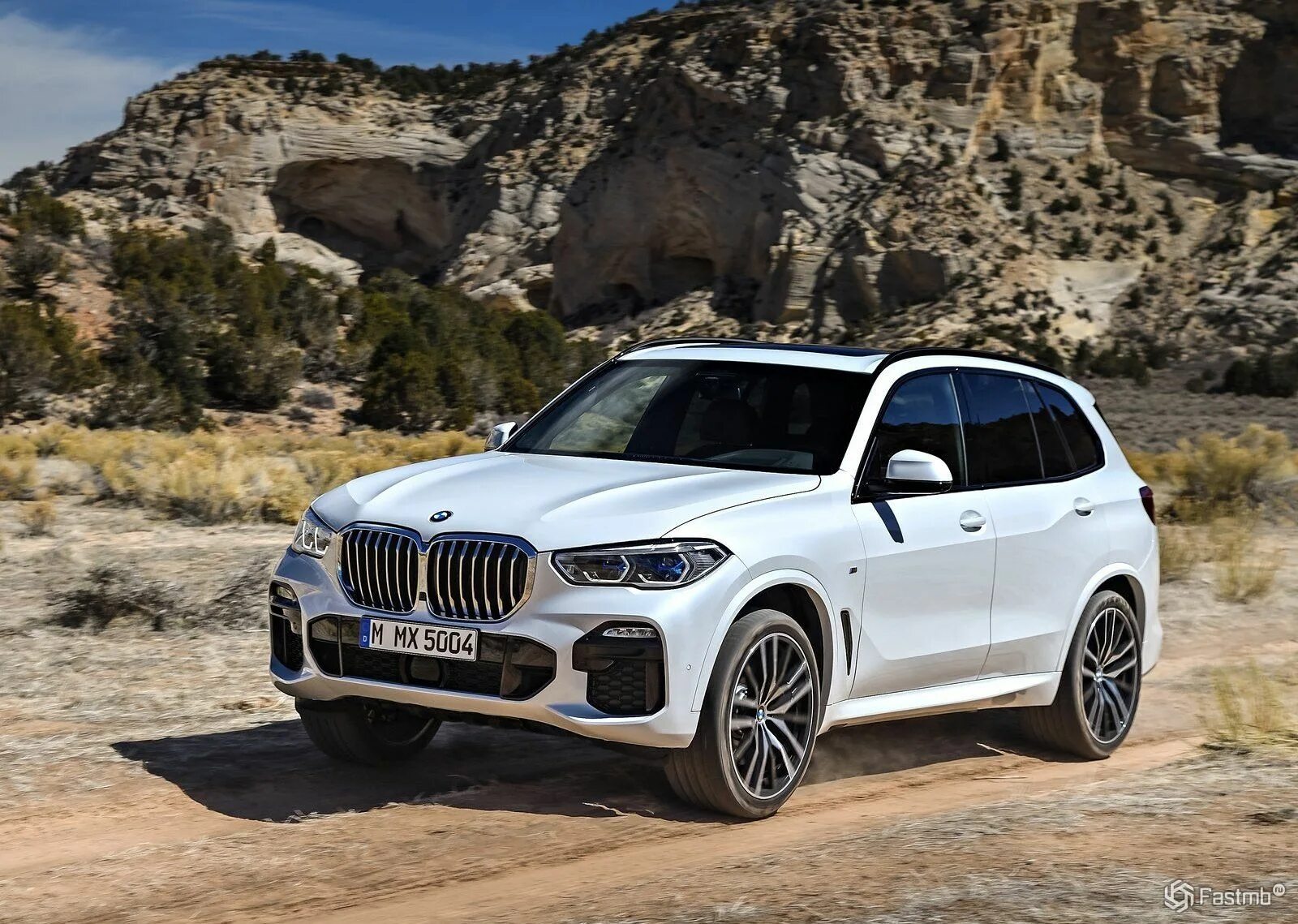 Bmw x5 топливо. БМВ Икс 5. БМВ х5 2018. Новый BMW x5 g05. БМВ x5 новый.