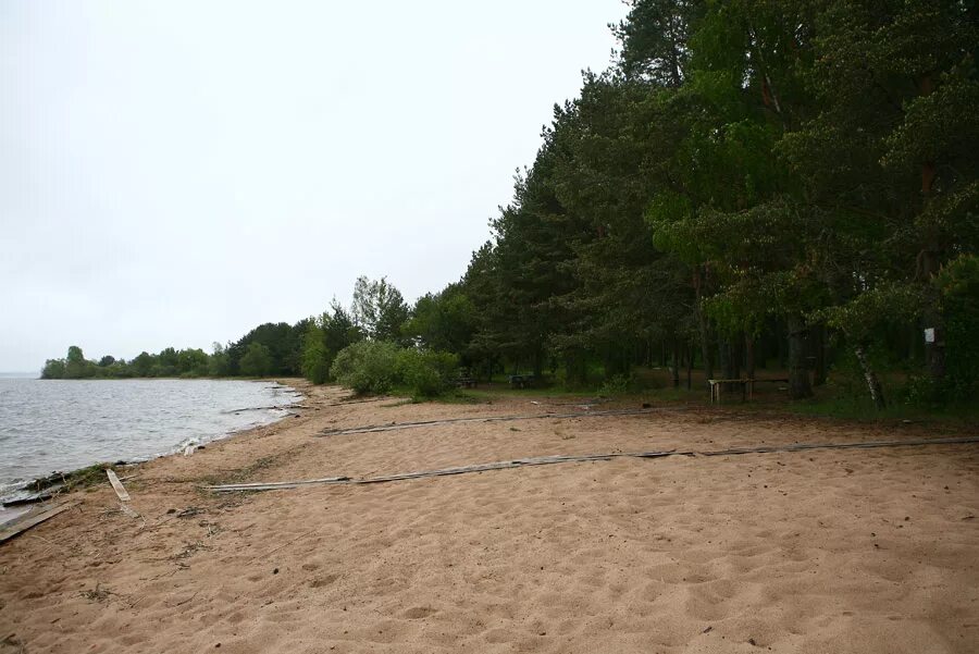 Остров Городомля. Николо-рожок Селигер. Остров Городомля (Солнечный).