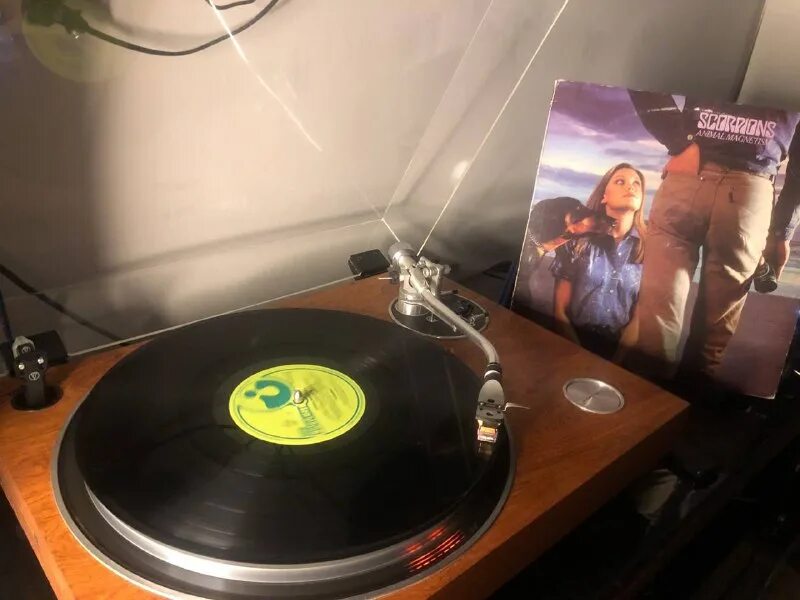 винил телеграм. винил телеграм. винил телеграм. винил телеграм. винил телеграм.