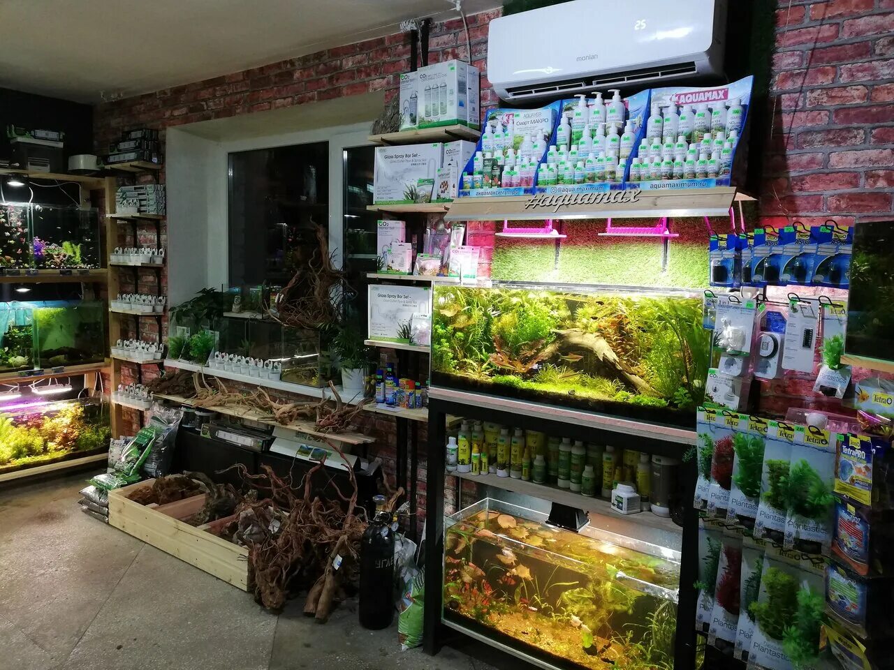 аквариумный магазин краснодар. аквариумный магазин краснодар. аквариумный магазин краснодар. современный аквариум. конкурс аквариумов.
