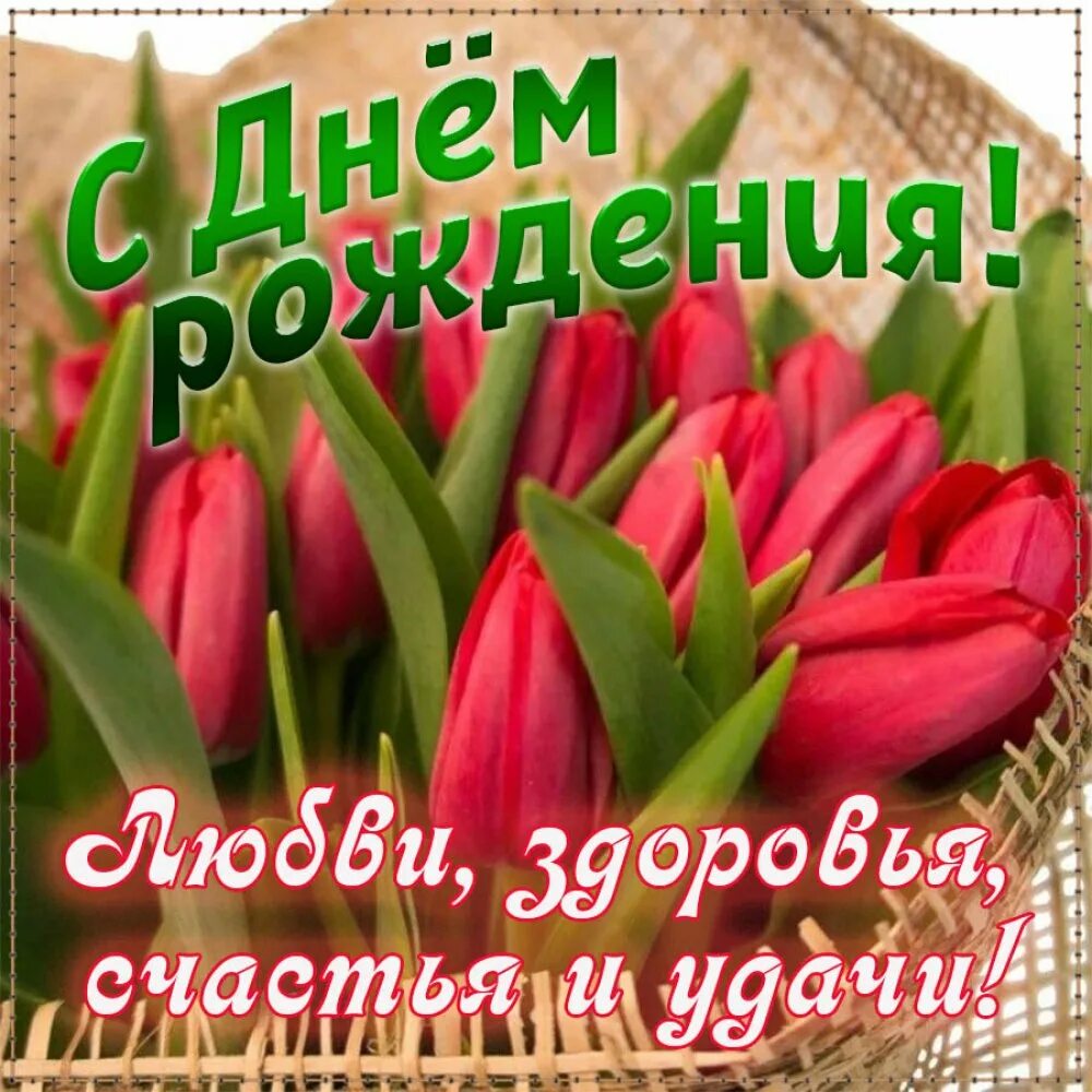 С днем рождения женщине открытки тюльпаны красивые