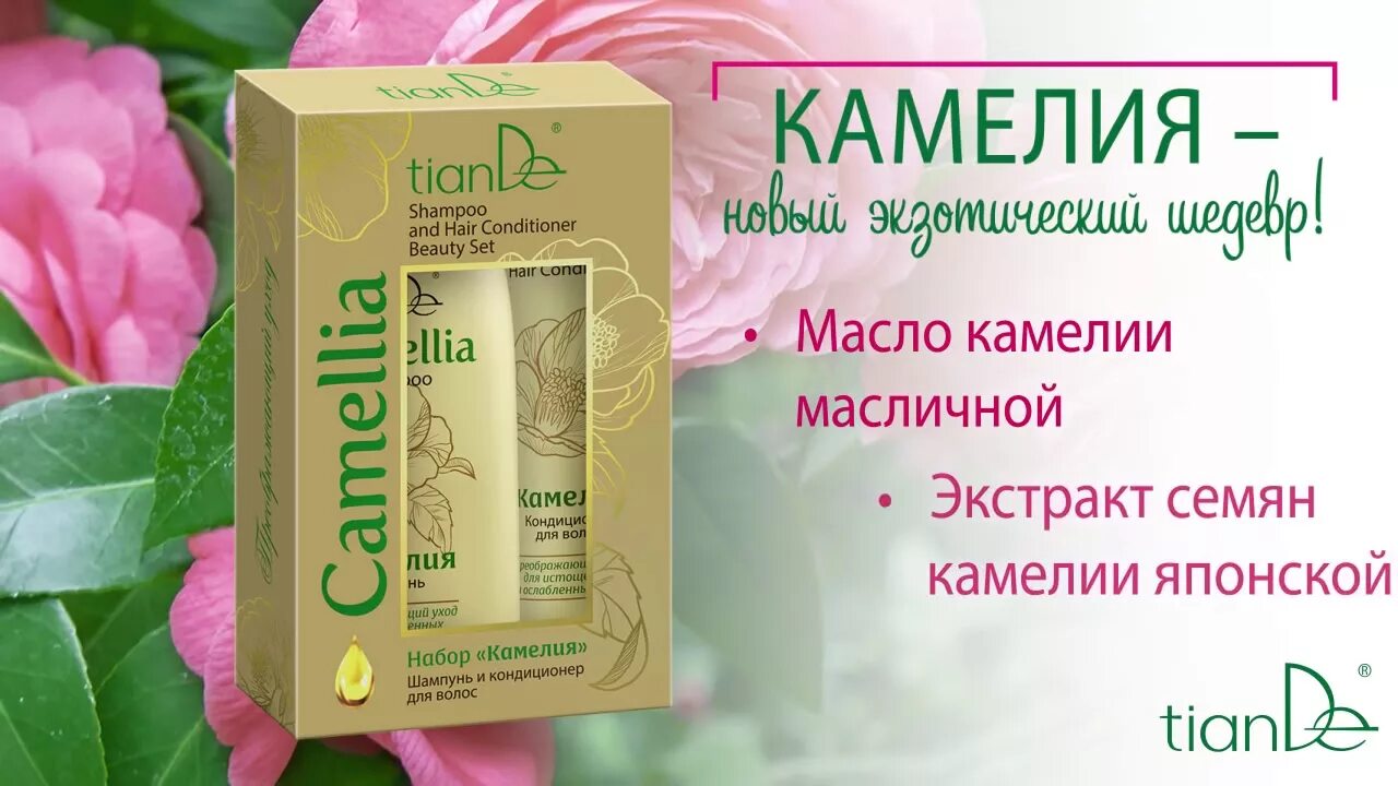 Шампунь камелия. Набор Камелия Тианде. Camellia шампунь TIANDE. Тианде набор для волос. Кондиционер для волос Тианде.