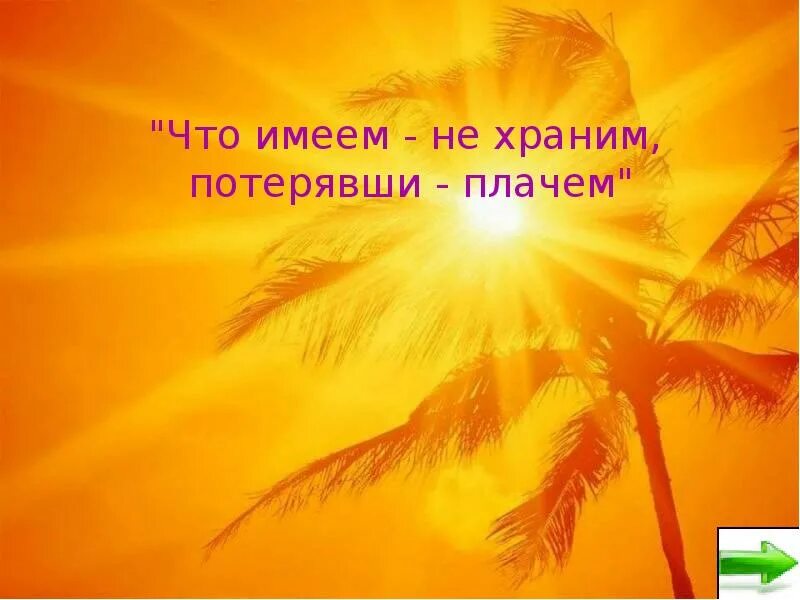 Потерявши ценим. Что имеем,не храним потеряя плачем. имея не храним потерявши плачем. что имеем не храним потерявши. что имеем не храним потерявши плачем пословица.