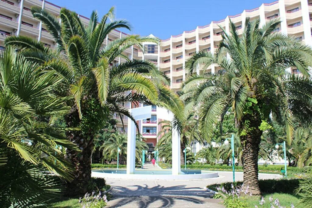 санаторий самшитовая роща абхазия. самшитовая роща ул гочуа 7. номера полулюкс самшитовая роща пицунда. самшитовая роща ул гочуа 7. самшитовая роща ул гочуа 7.