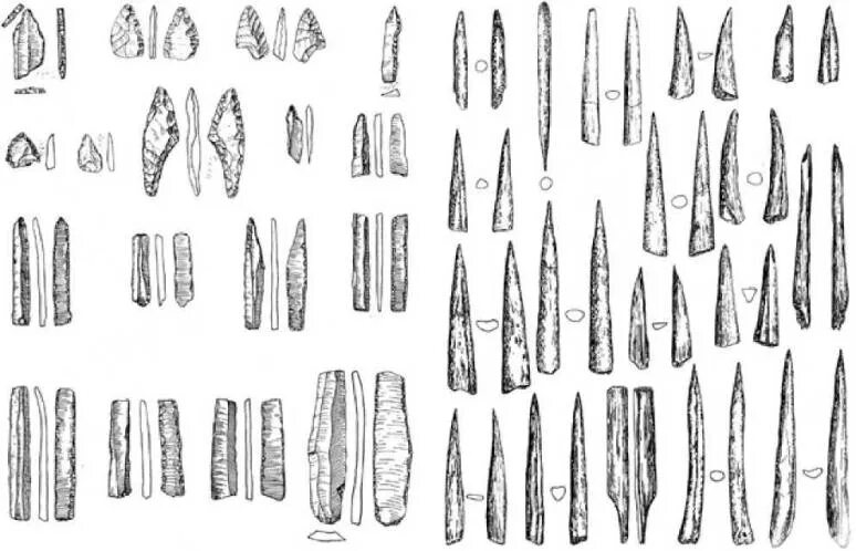 Сенатор неолит сочи. Орудия труда мезолита и неолита. Мезолит орудия труда. Неолит кремниевые орудия. Каменные орудия мезолита.