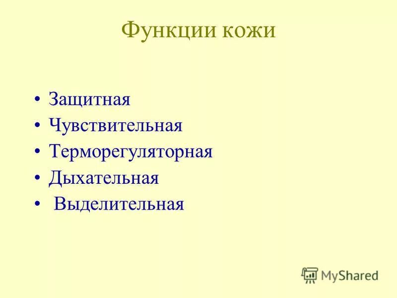 функции кожи человека кратко. что воспринимают рецепторы кожи. чувствительная функция кожи. функция кожи осязательная описание. функции кожи.