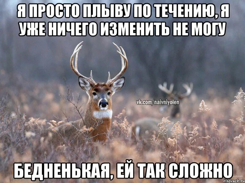 Но ей ничто не изменило. Но ей ничто не изменило
