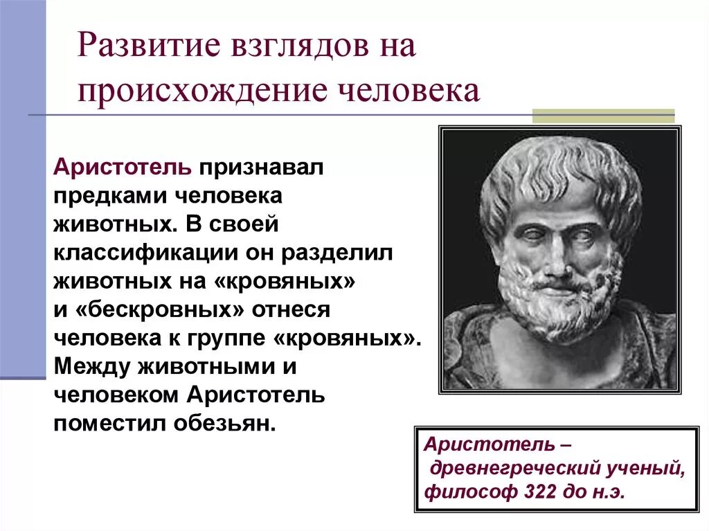 Аристотель гипотеза о происхождении человека. Аристотель представление о происхождении человека таблица. Аристотель представление о происхождении человека. Аристотель гипотеза о происхождении человека доказательства.