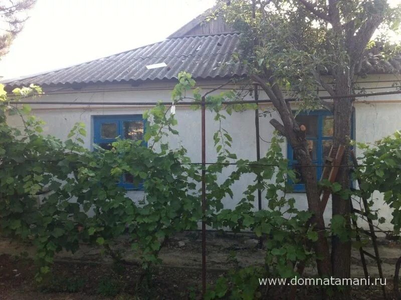 погода виноградный темрюкский. краснодарский край темрюкский район поселок. погода виноградный темрюкский. погода виноградный темрюкский. машина для перевозки винограда.