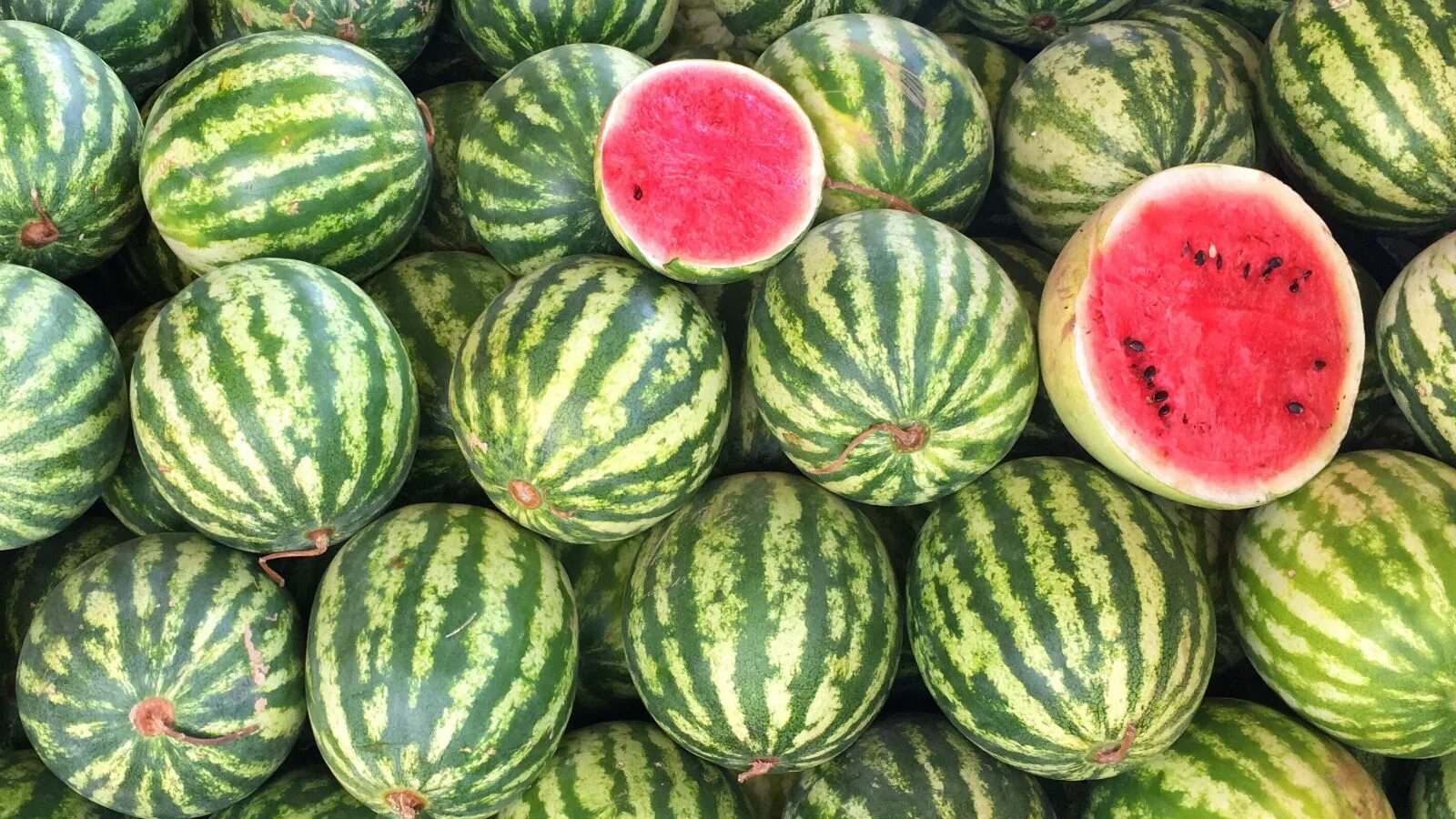 Сорт зеленого арбуза. Туркменистан,дыни, бахчи. Арбуз super Luxe Watermelon. Сорт арбуза Дайтона.