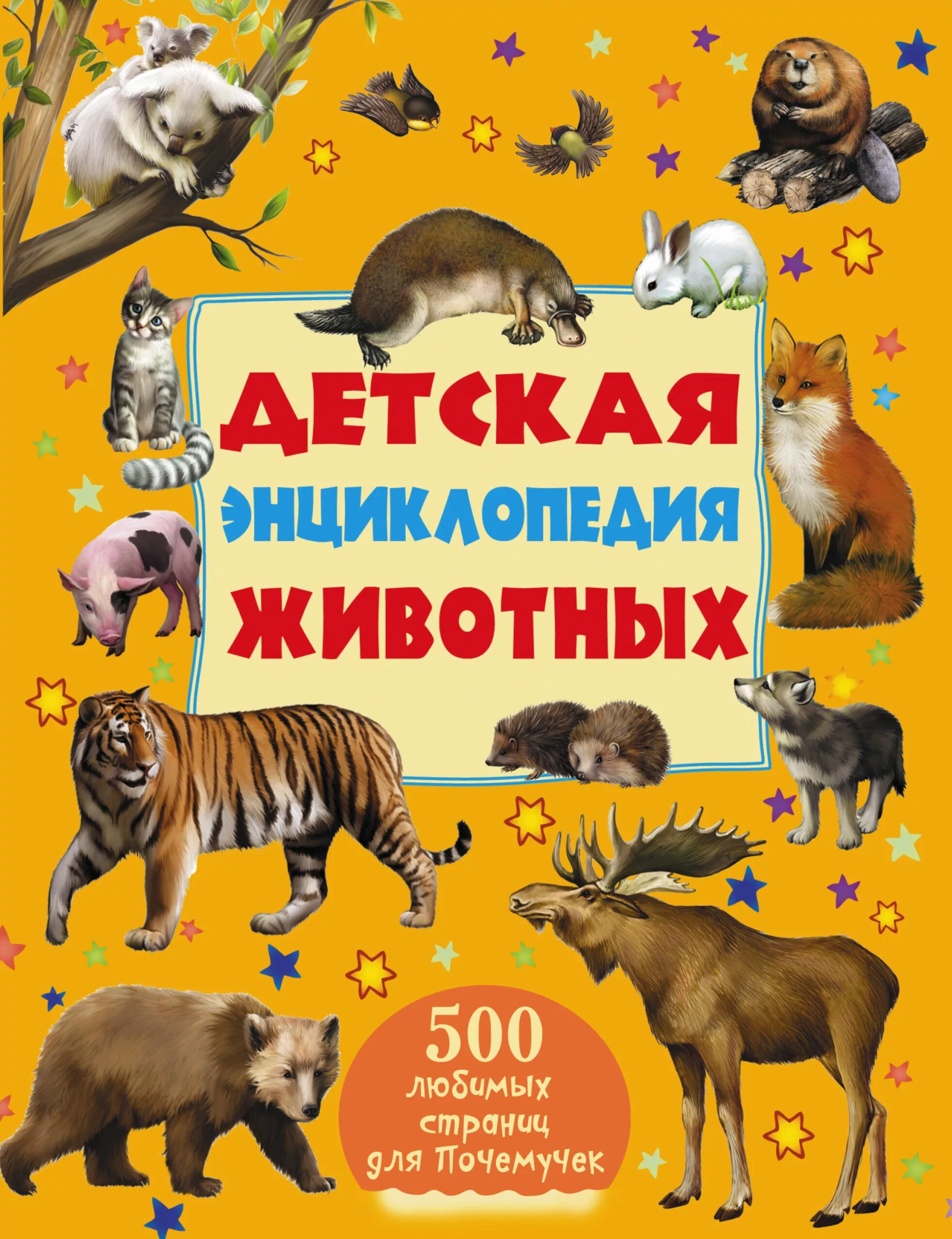 Читать про животных. Детская энциклопедия животных - ликсо, папуниди. животные. детская энциклопедия. книги о животных для детей. книга животные.