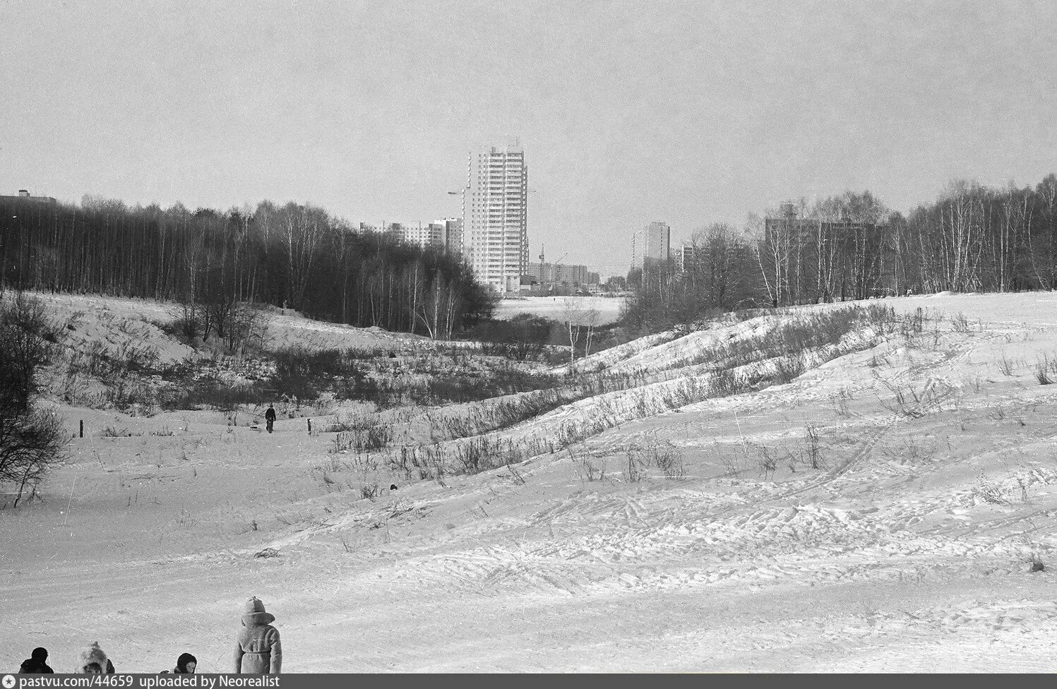 Ясенево Битцевский лесопарк. Битцевский парк Видное. Битцевский лес 100 лет назад. Ясенево 1990. Деревня ясенево