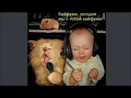 Кайфую песня рингтон