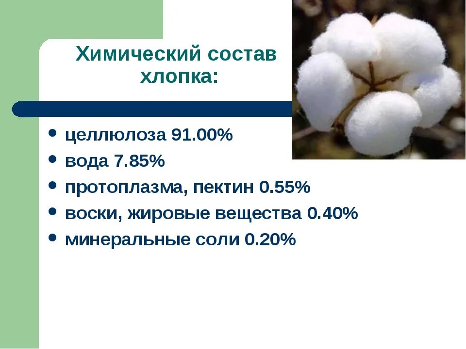 Химический состав хлопка. Презентация на тему хлопок. Хлопки для презентации. Из чего состоит хлопок. Хлопок разбор