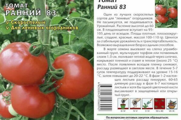 Помидоры ранний описание сорта. Томат ранний 83. томат ранняя девочка. томат шотландский ранний. томат башкирский ранний.