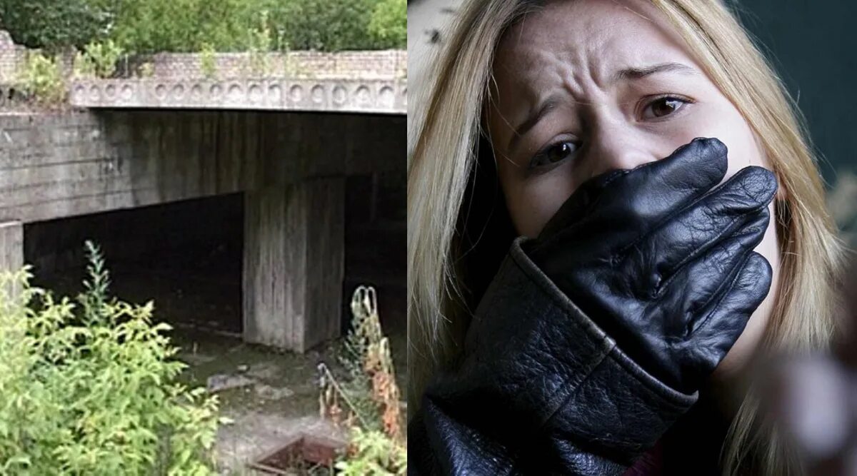 вакансия на жертву фильм. жертва 1 жертва 2. жертва 1 жертва 2. питинский маньяк череповец. жертва 1 жертва 2.