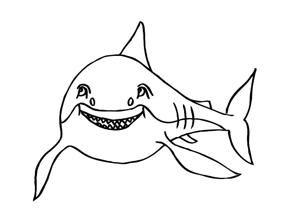 Раскраски акула. Акула раскраска. Акула раскраска для детей. Акула детская раскраска. Морские обитатели раскраска акула.