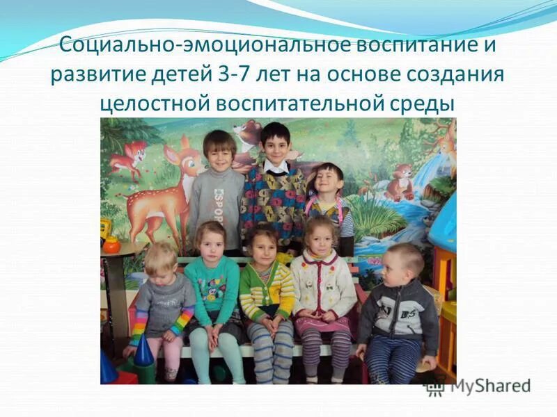 Система эмоционально воспитания. Система эмоционально воспитания