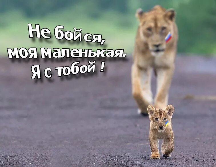 Боюсь не найти лучше бывшего