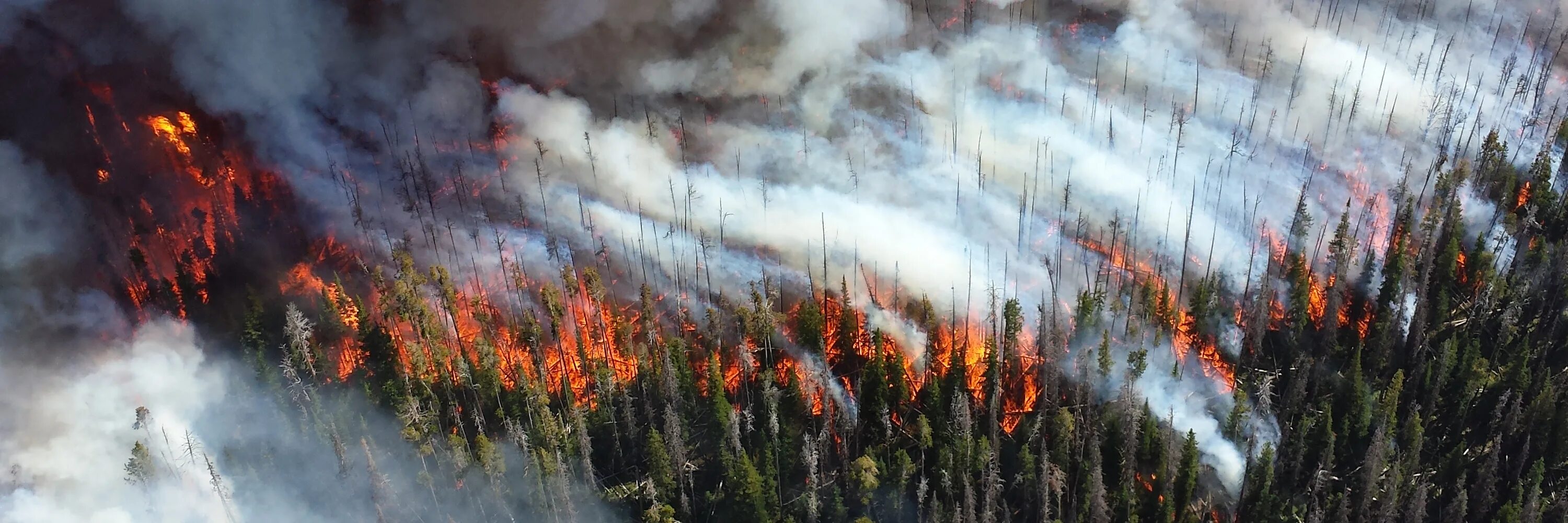 Газ горящий воздух. Йеллоустонский национальный парк пожары. Пожар на природе. Загрязнение атмосферы пожарами. Загрязнение воздуха лесными пожарами.