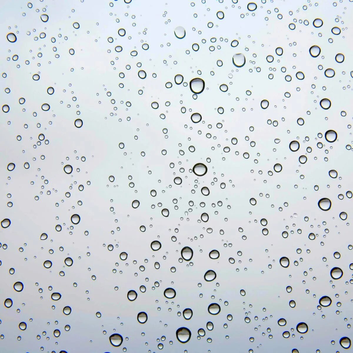 Мелкие капли. Капли воды. капли на стекле. прозрачные капли. мелкие капли воды.