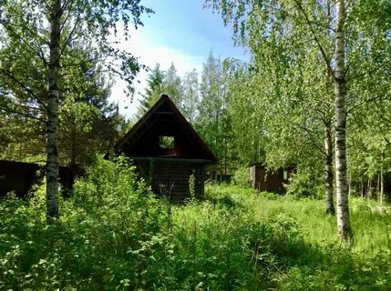 Погода щеглово