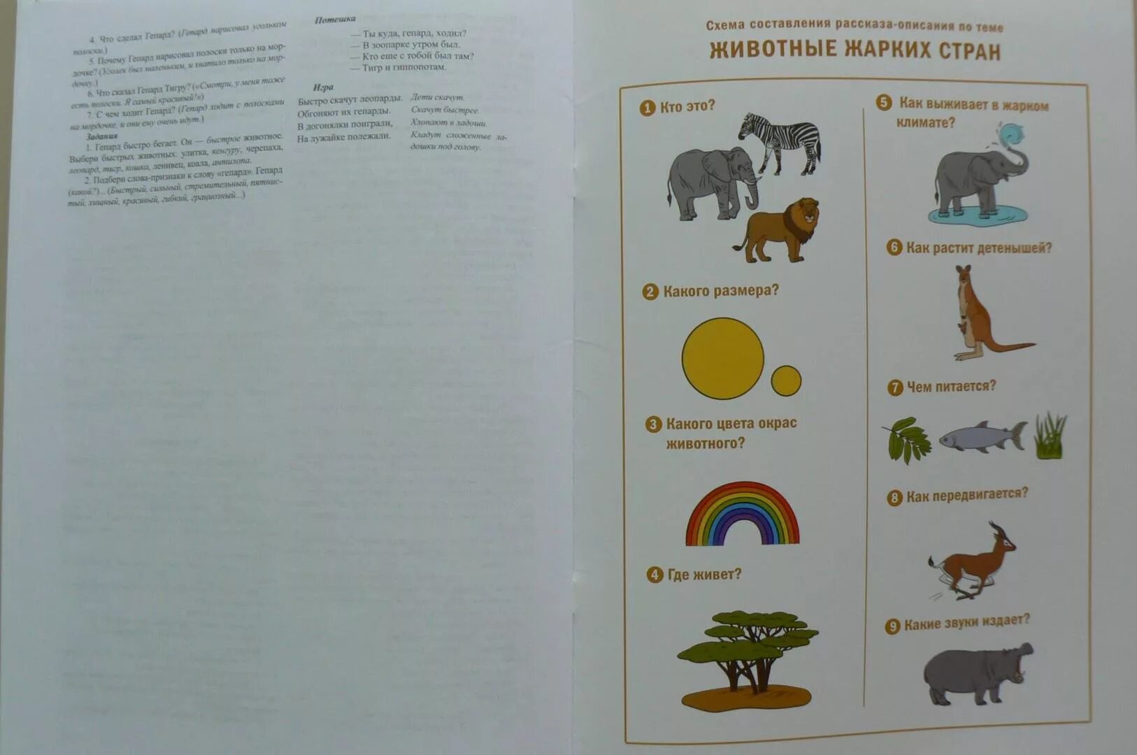 Описание животных средняя группа. Животные жарких стран. Животные жарких стран для дошкольников. Составление рассказа о животных жарких стран. Животные жарких стран дидактический материал.