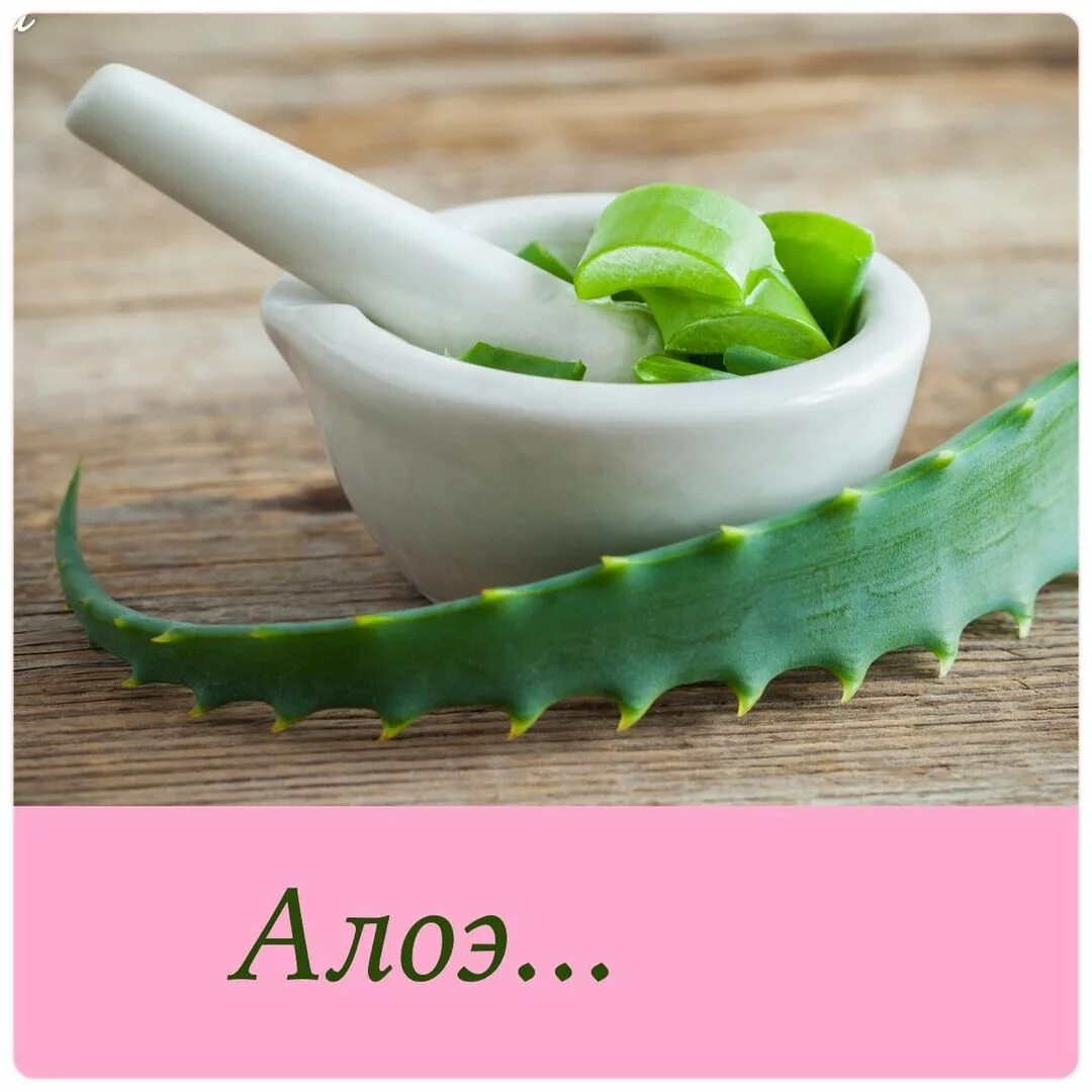 Гель алоэ. Цветок алоэ для лица. Алоэ эффект. Гель алоэ. Цветок алоэ для лица.