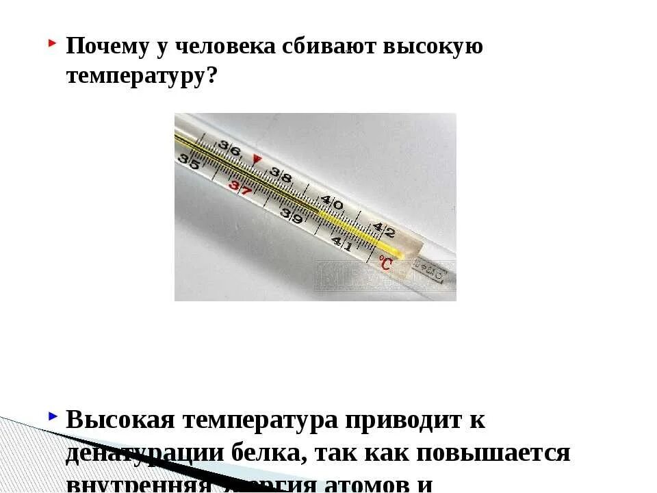 Опасная температура взрослый. Чем сбить температуру. Причины высокой температуры. Почему нельзя сбивать температуру 37. Почему нельзя сбивать температуру.