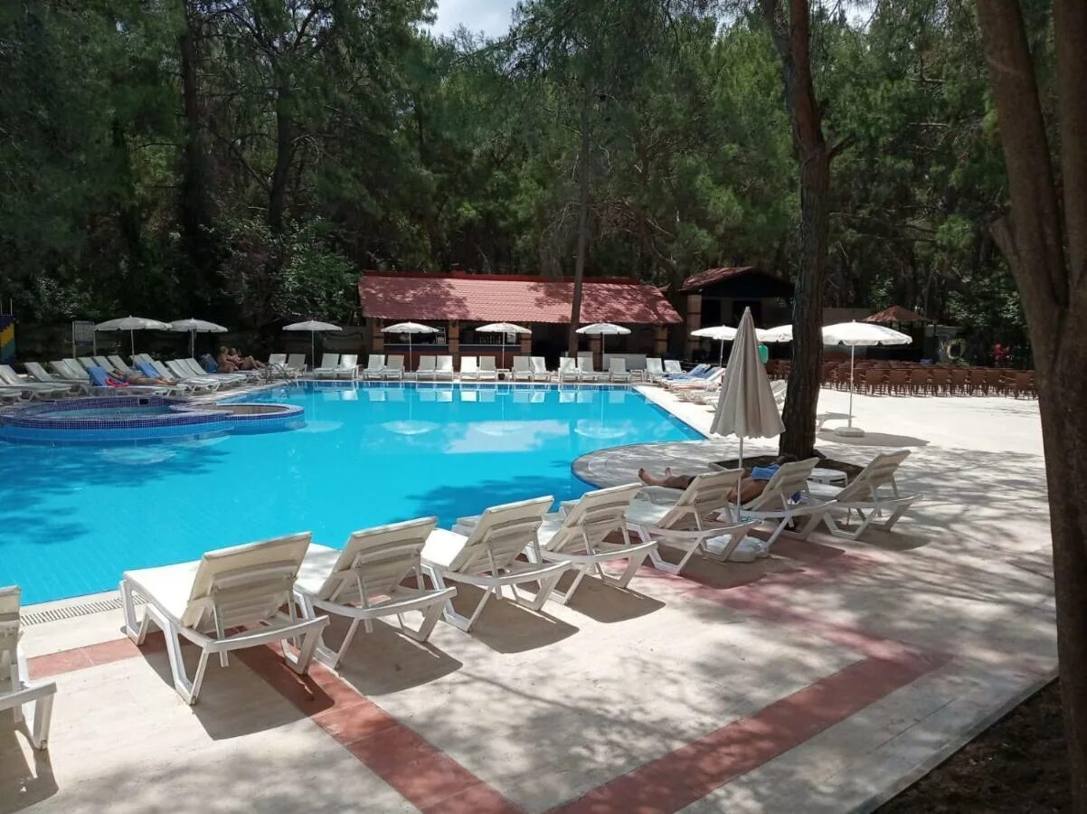 Club festival tekirova 4. Клуб фестиваль текирова турция отель 4. Club festival tekirova, jeans club hotels festival) 4*. Club festival tekirova 4. Клаб фестиваль текирова.