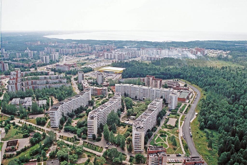 Сосновый бор ленинградская область. Сосновый бор статус города в каком году. Сосновый бор центр города. Сосновый бор центр города. Сосновый бор питер.