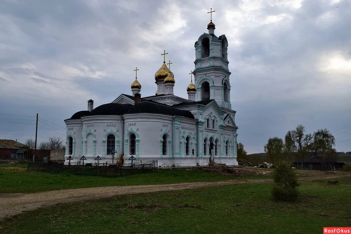Село польцо муромский район. Польцо владимирская область. Польцо владимирская область. В село польцо владимирской области зашел зубр. Польцо владимирская область.